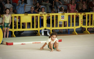 6891fbe2667f4_DSC6943.jpg